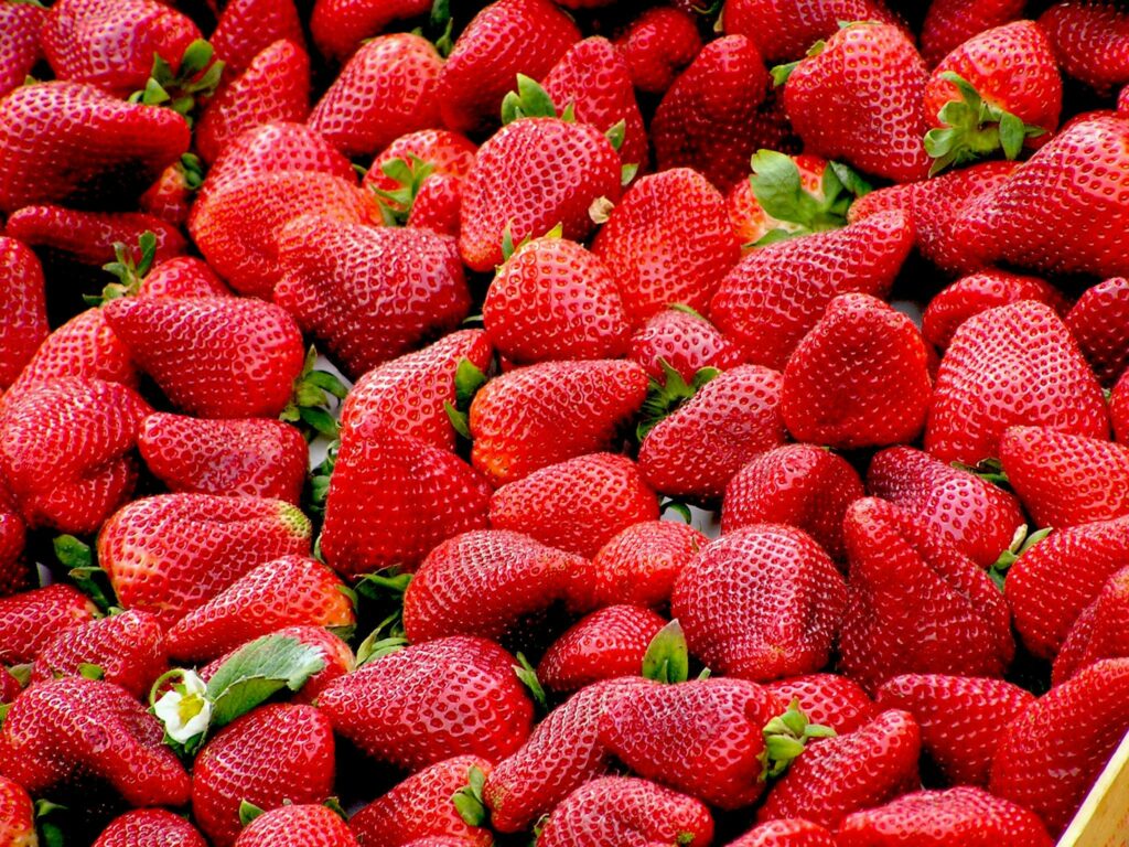 strawberries-red-fruit-royalty-free-70746-70746 whey morango